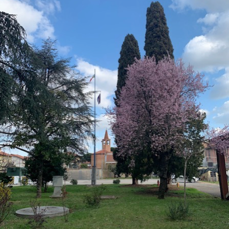 NUOVA VIA
