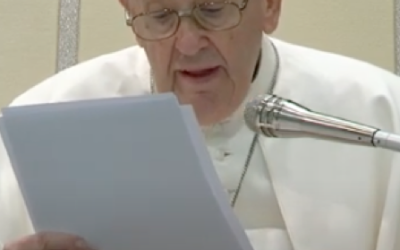 CATECHESI DEL PAPA