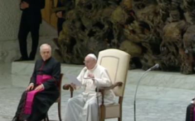 CATECHESI DEL PAPA