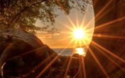 IV Meditazione Pasquale: TUTTO E SUBITO