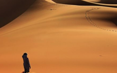 IL TUO DESERTO
