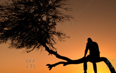 SCENDI dall’ALBERO