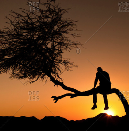 SCENDI dall’ALBERO