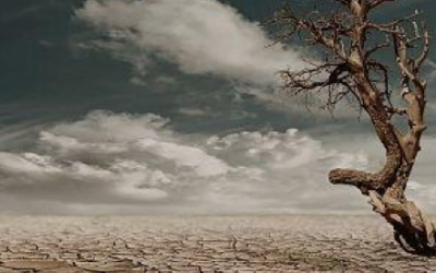 IL CUORE AL BUIO – Desolazione e ricerca