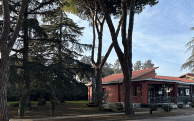 IL GIARDINO